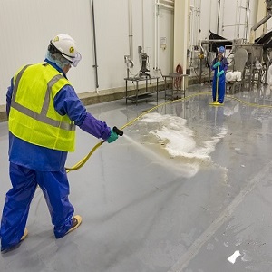 T25, T26, T27 Deep Cleaner