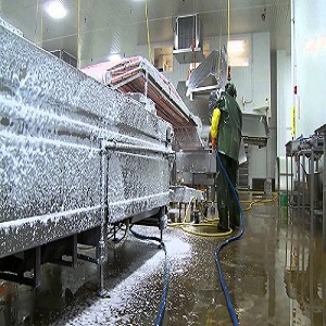T25, T26, T27 Deep Cleaner
