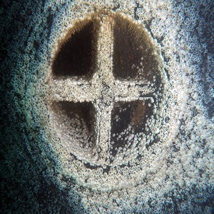 T41 Seawater Anitifoulant